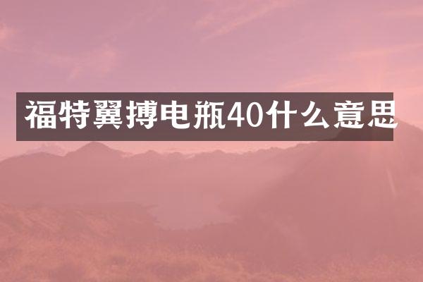 福特翼搏电瓶40什么意思