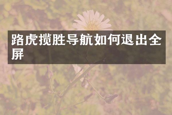 路虎揽胜导航如何退出全屏