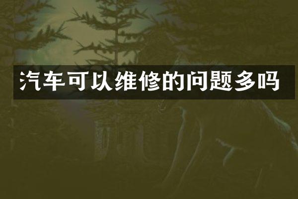 汽车可以维修的问题多吗