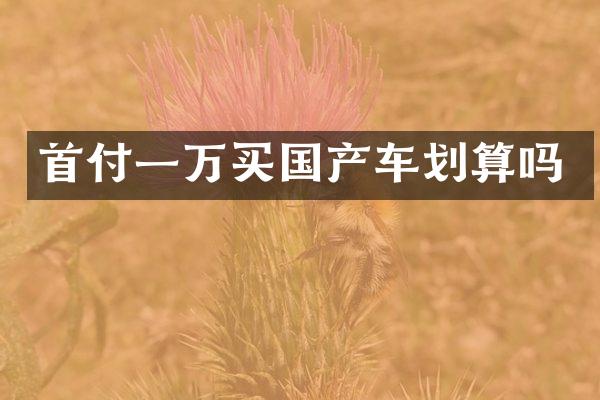 首付一万买国产车划算吗