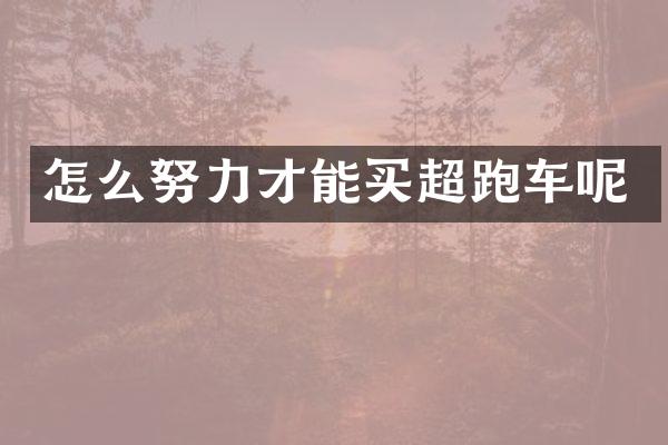 怎么努力才能买超跑车呢