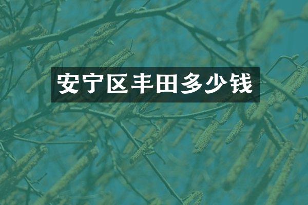 安宁区丰田多少钱