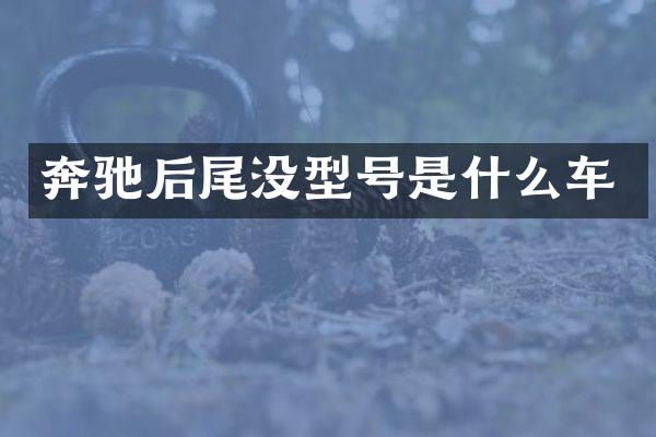 奔驰后尾没型号是什么车