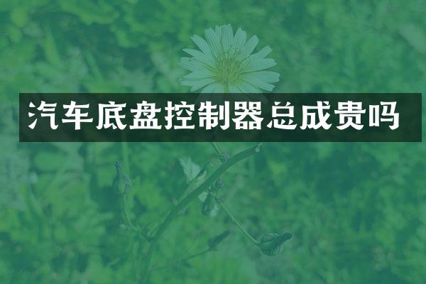 汽车底盘控制器总成贵吗