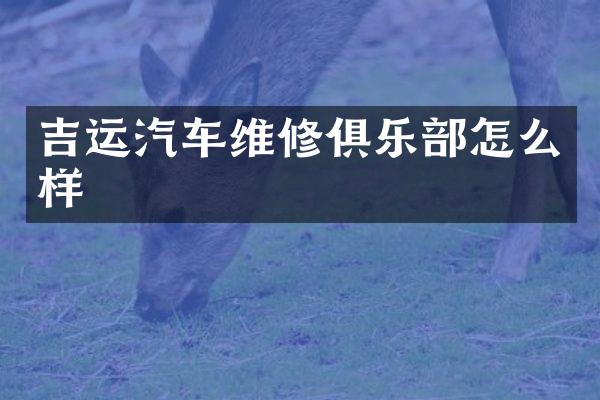 吉运汽车维修俱乐部怎么样