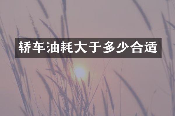 轿车油耗大于多少合适