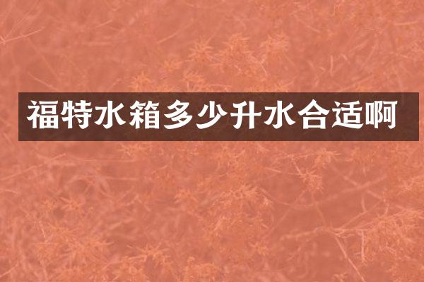 福特水箱多少升水合适啊