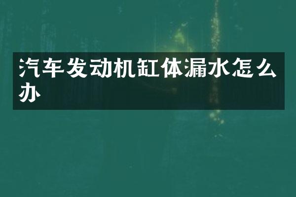 汽车发动机缸体漏水怎么办