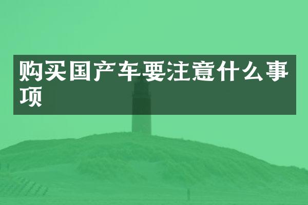 购买国产车要注意什么事项
