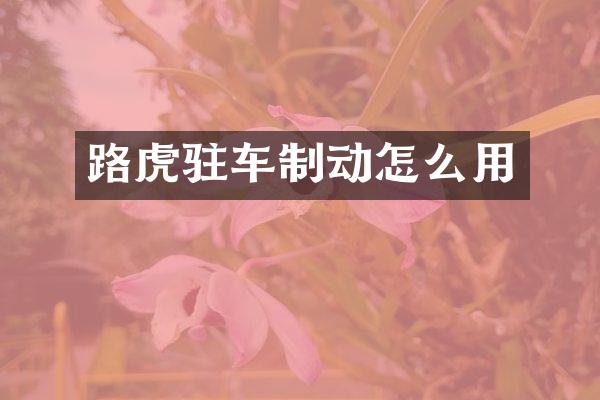 路虎驻车制动怎么用