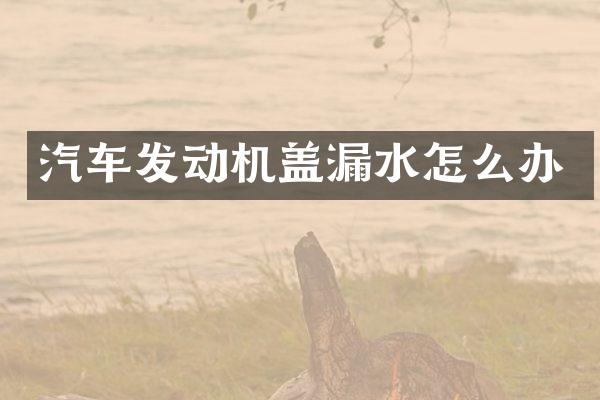 汽车发动机盖漏水怎么办