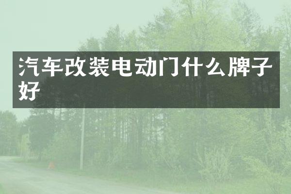 汽车改装电动门什么牌子好