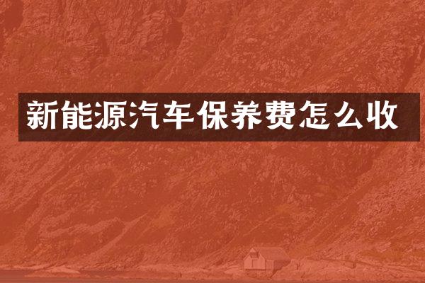 新能源汽车保养费怎么收