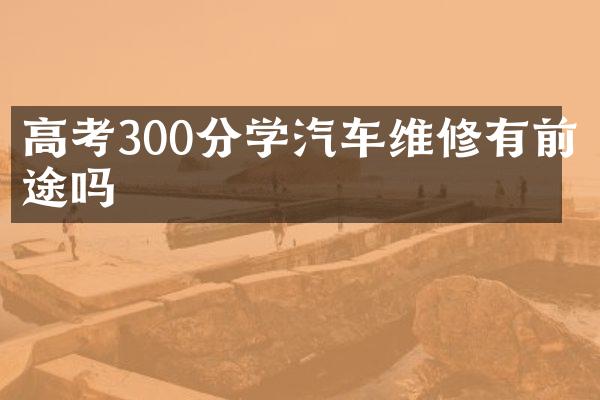 高考300分学汽车维修有前途吗