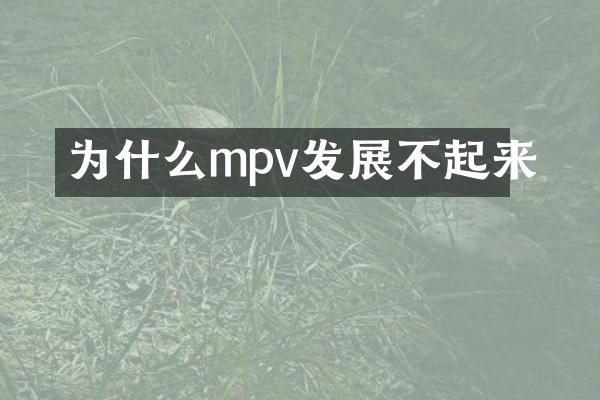 为什么mpv发展不起来