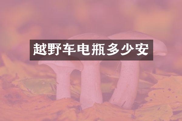 越野车电瓶多少安