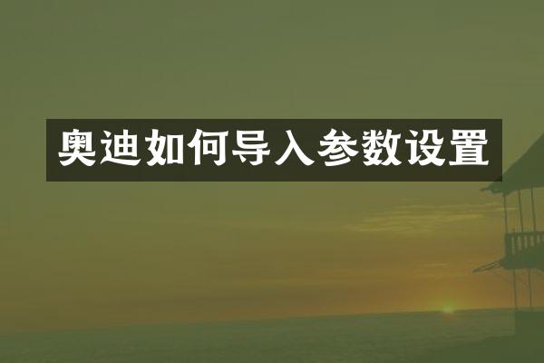 奥迪如何导入参数设置