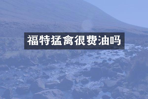 福特猛禽很费油吗