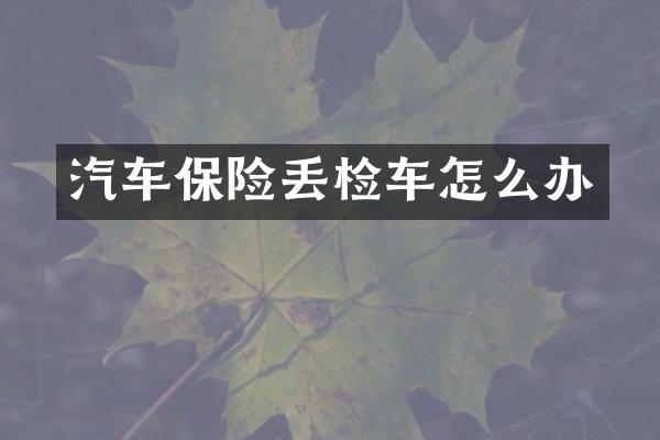 汽车保险丢检车怎么办