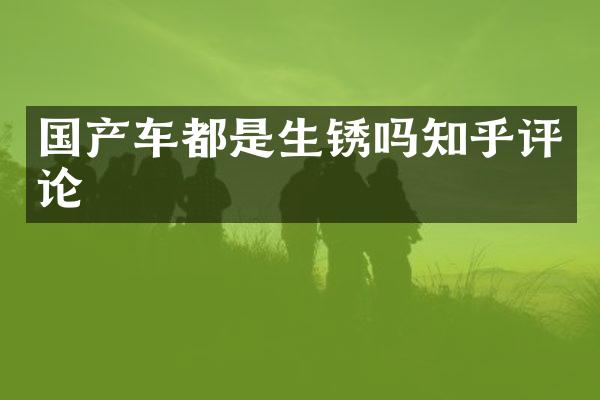 国产车都是生锈吗知乎评论