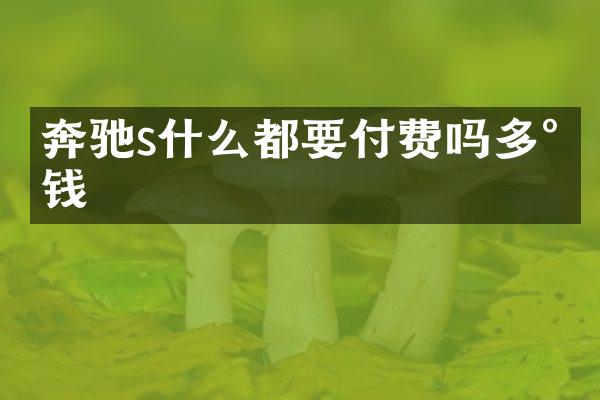 奔驰s什么都要付费吗多少钱