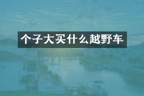 个子大买什么越野车