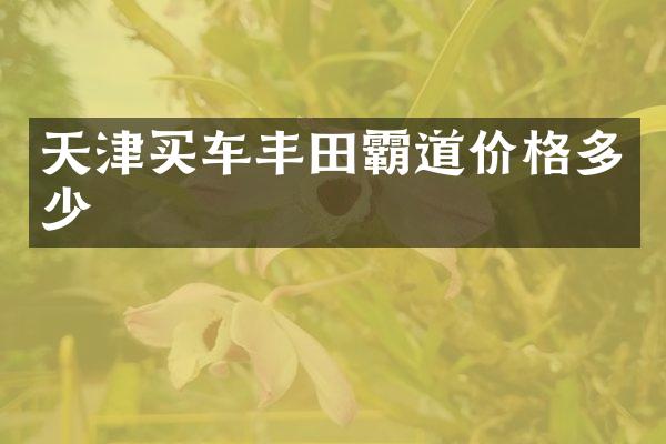天津买车丰田霸道价格多少