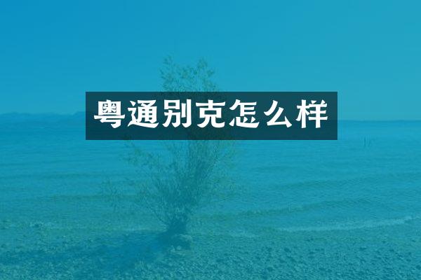 粤通别克怎么样