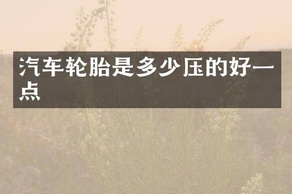 汽车轮胎是多少压的好一点