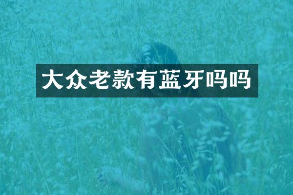 大众老款有蓝牙吗吗