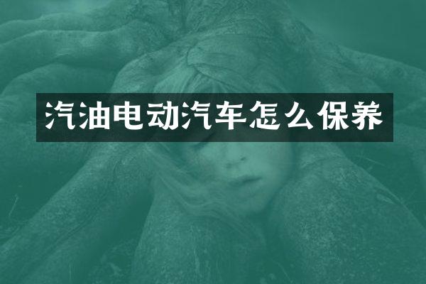 汽油电动汽车怎么保养