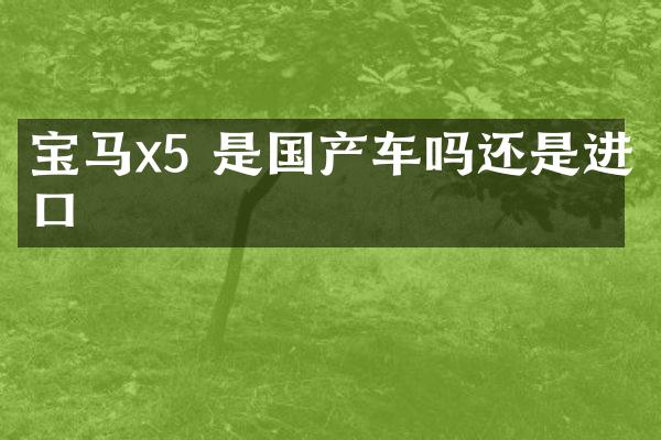 宝马x5 是国产车吗还是进口