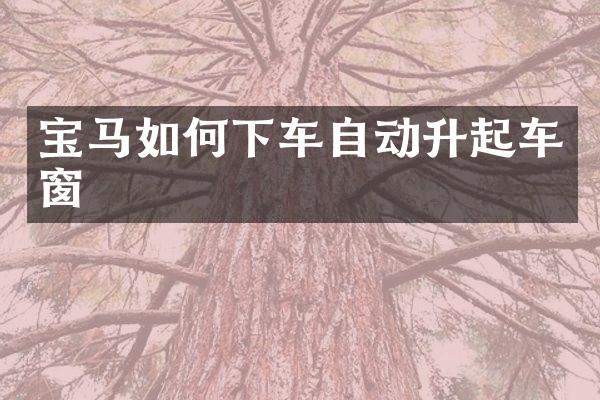 宝马如何下车自动升起车窗