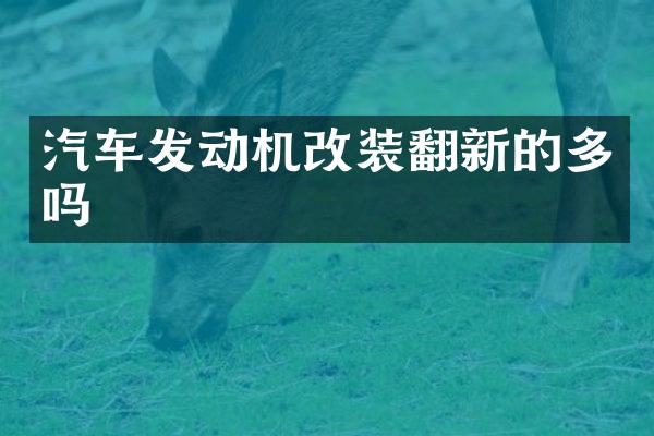 汽车发动机改装翻新的多吗