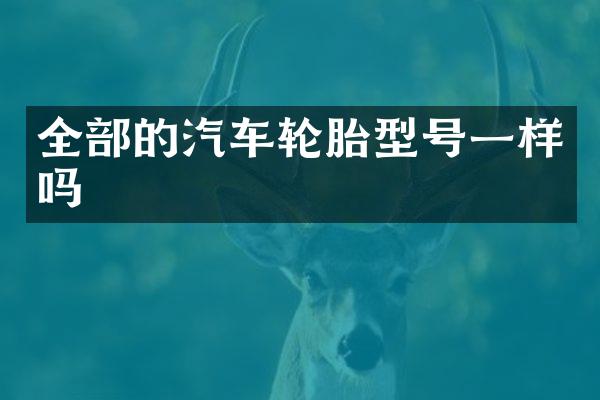 全部的汽车轮胎型号一样吗
