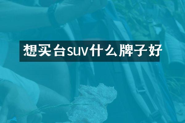 想买台suv什么牌子好