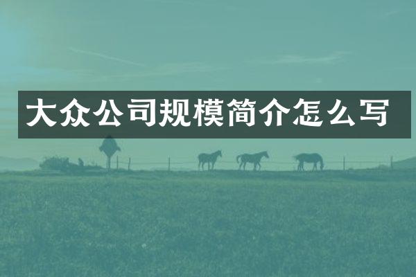 大众公司规模简介怎么写