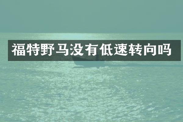福特野马没有低速转向吗