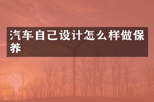 汽车自己设计怎么样做保养