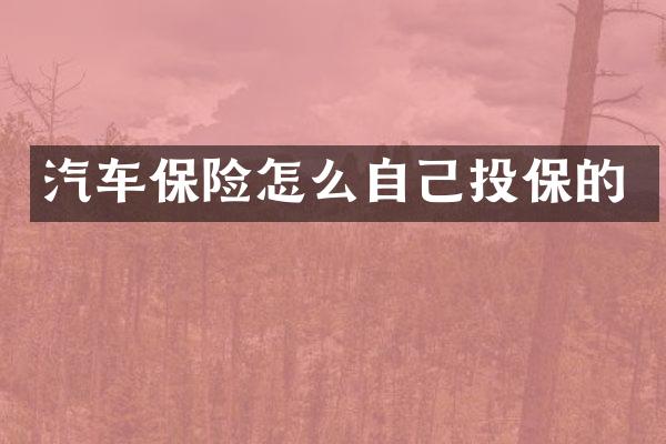 汽车保险怎么自己投保的