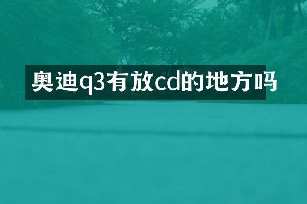 奥迪q3有放cd的地方吗