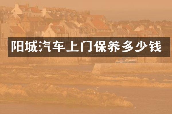 阳城汽车上门保养多少钱
