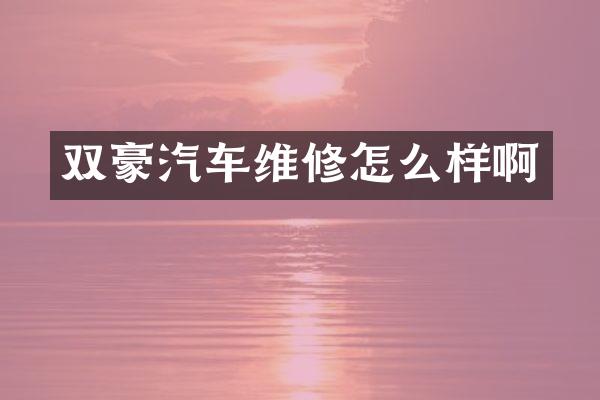 双豪汽车维修怎么样啊