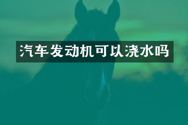 汽车发动机可以浇水吗