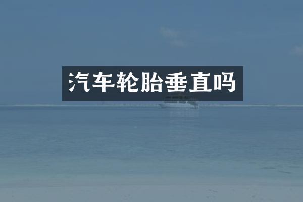 汽车轮胎垂直吗