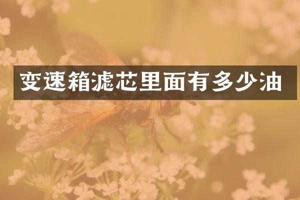 变速箱滤芯里面有多少油