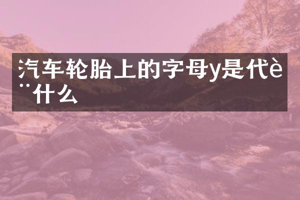 汽车轮胎上的字母y是代表什么