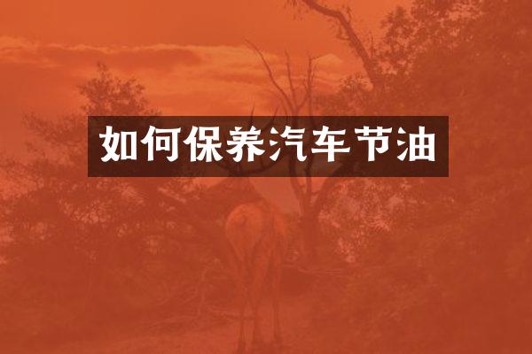 如何保养汽车节油
