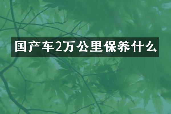 国产车2万公里保养什么