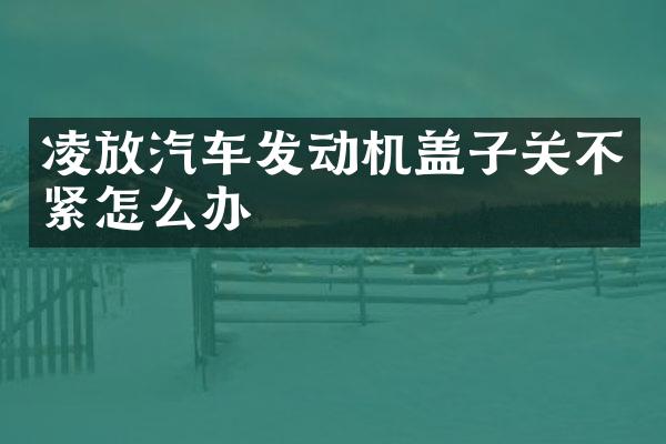 凌放汽车发动机盖子关不紧怎么办